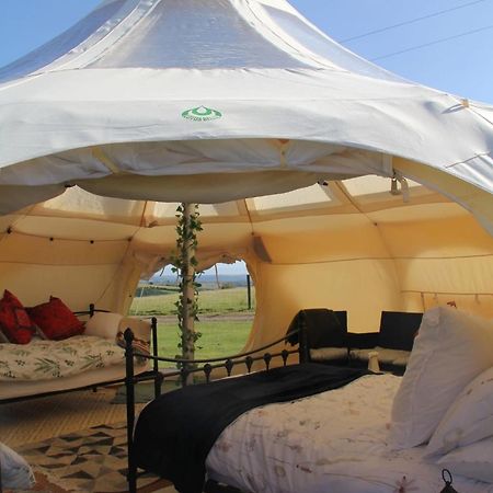 Tal-Y-Fan Farm 6M Stargazer Tent Bridgend  Εξωτερικό φωτογραφία